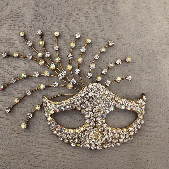 Jewelry - Aurora Borealis Mardi Gras Pin